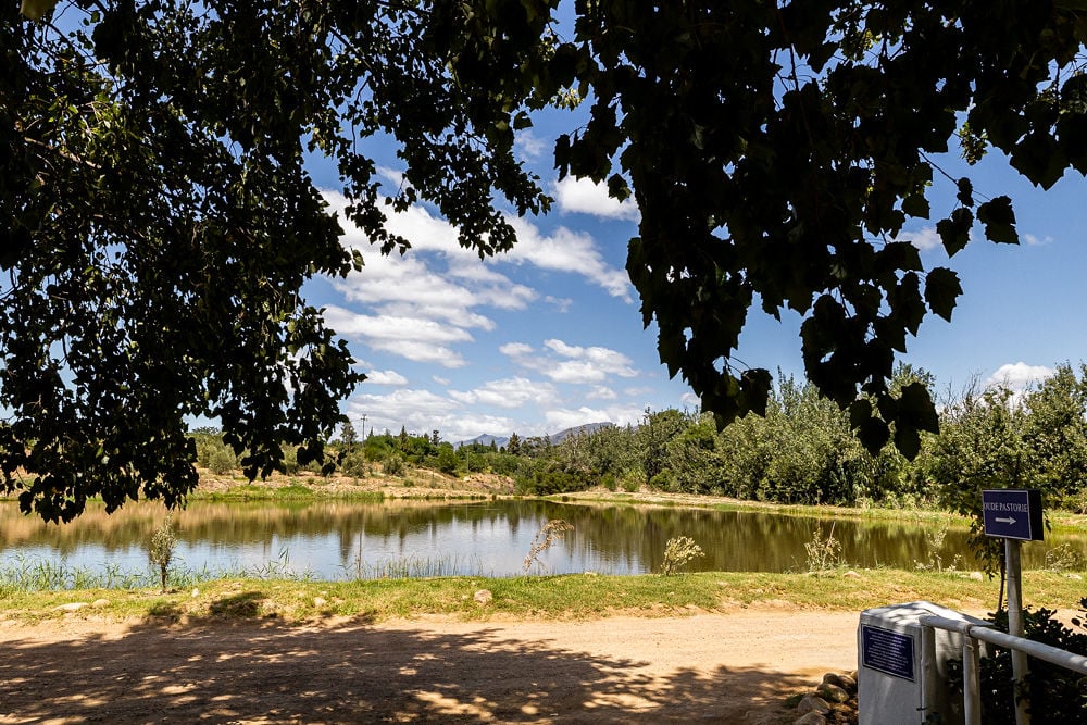 Montpellier — Tulbagh wine estate